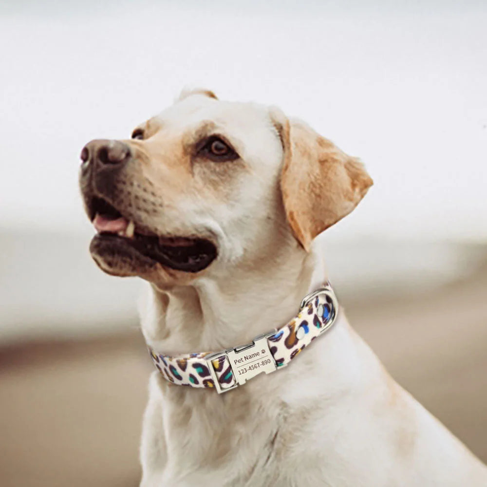 Custom Dog Collar – Free Engraved Nameplate for All Sizes