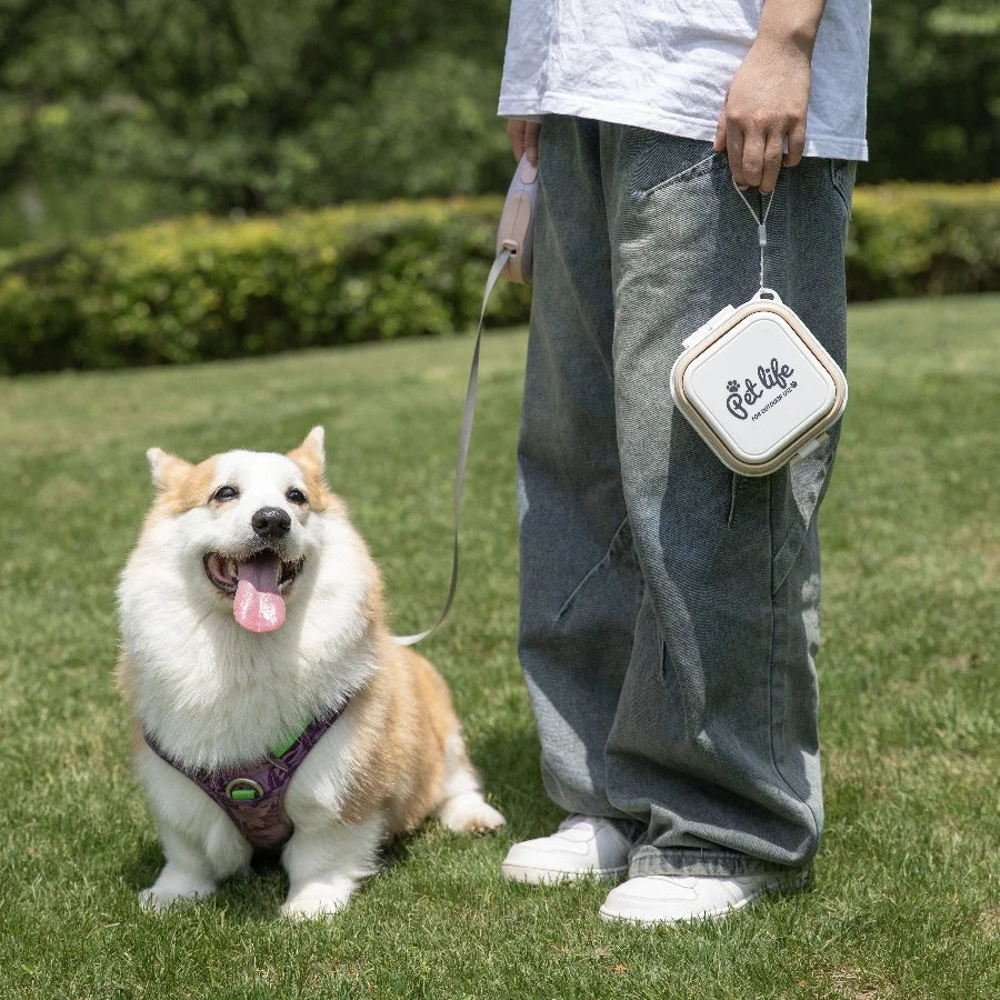 Madden Portable Double-Decker Dog & Cat Travel Bowl – Foldable