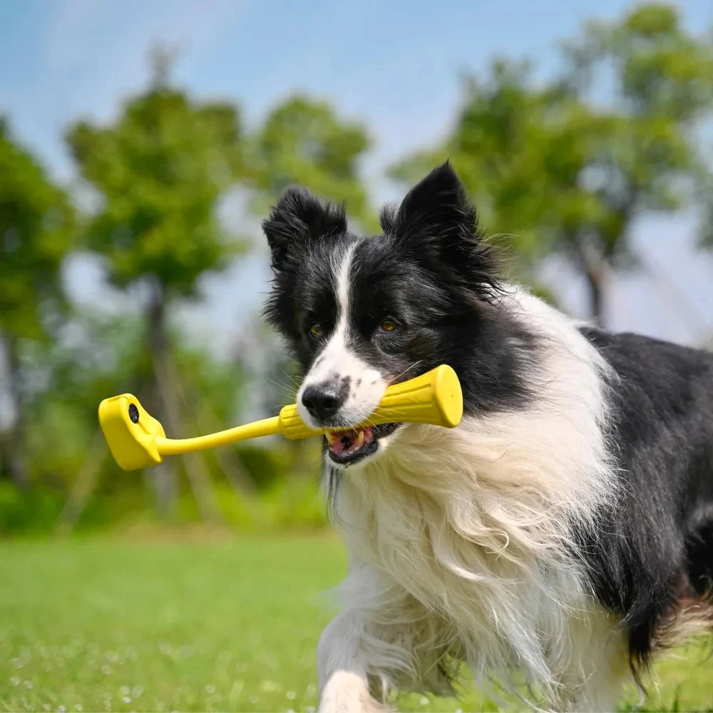 Fetch Stick for Dogs – Compatible with Insta360 GO 3 & GO 3S | Original Pet Camera Accessory