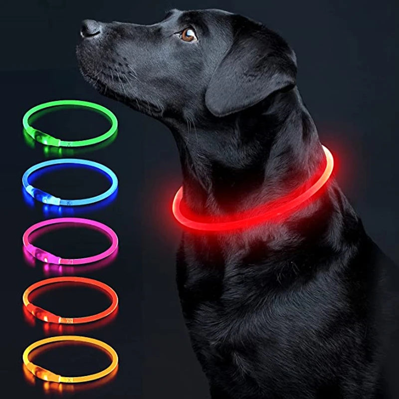Luminous Dog Collar Light – USB Rechargeable LED Safety Collar