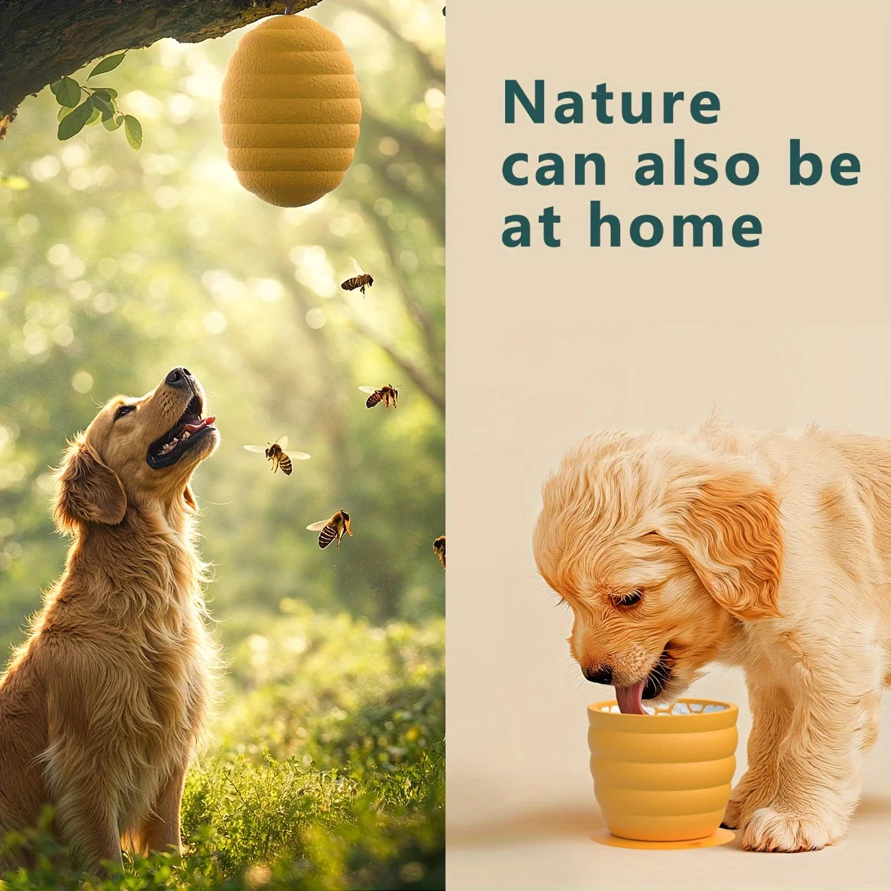 Silicone Slow Feeder Dog Bowl NZ | Non-Slip Suction Cup Healthy Eating Bowl for Small Breeds – PawNest