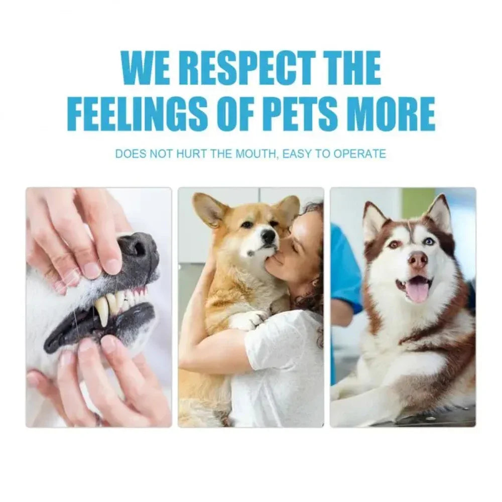 Pet Toothpaste NZ – 60g Tartar & Breath Cleaner for Cats & Dogs | PawNest