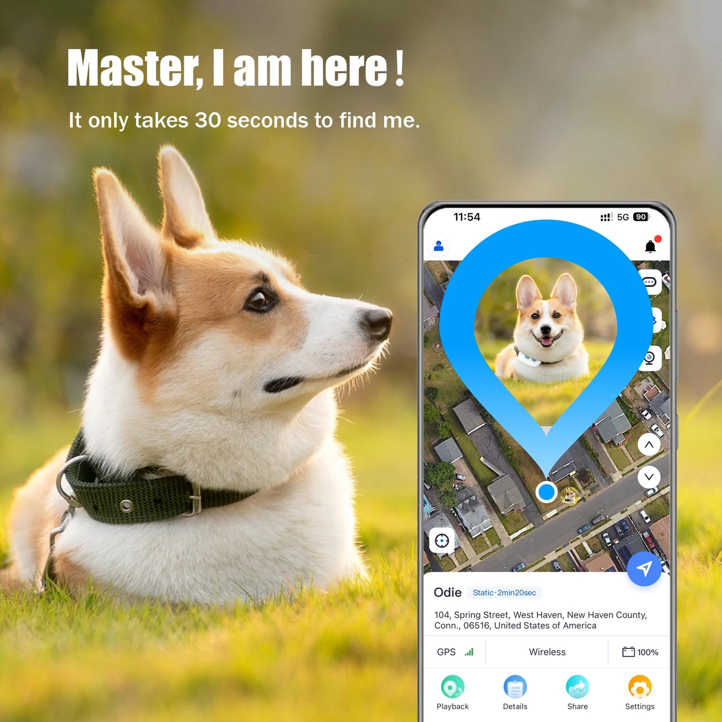 Global Pet Tracker NZ | Waterproof GPS Dog & Cat Tracker with App – Low Service Fee – PawNest