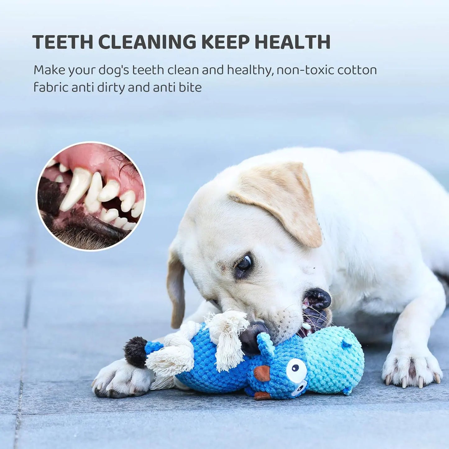 Indestructible Dog Toy NZ | Durable Squeaky Plush for Large Aggressive Chewers – PawNest