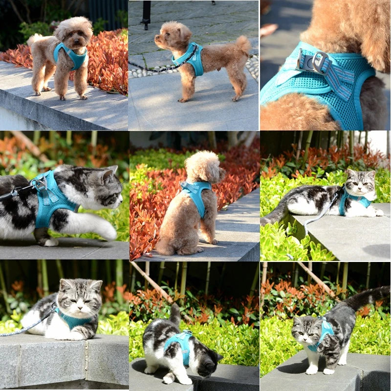 Adjustable Dog Harness Vest & Walking Leash NZ | Medium Dogs & Cats – PawNest