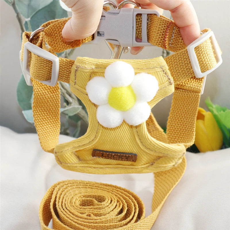 Fashion Adjustable Dog Harness NZ | Small & Medium Dog Chest Strap Vest for Walking – PawNest