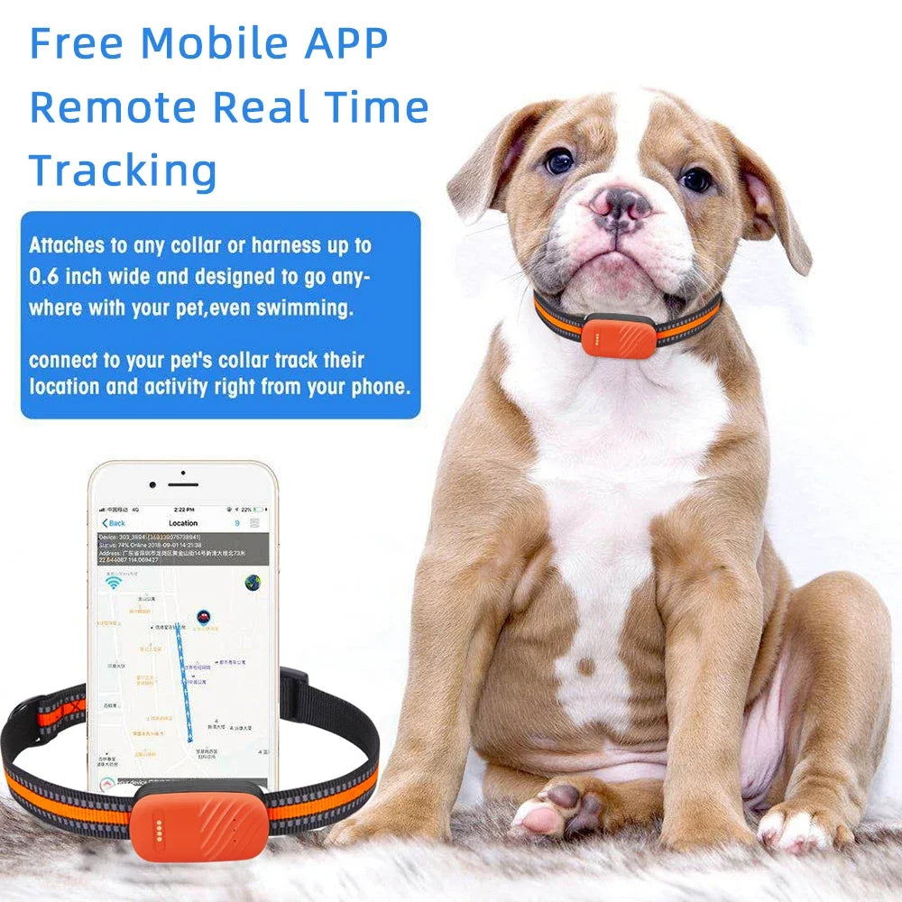 Smart 4G Mini GPS Pet Tracker NZ | Waterproof Real-Time Remote Control Tracker for Cats & Dogs – PawNest