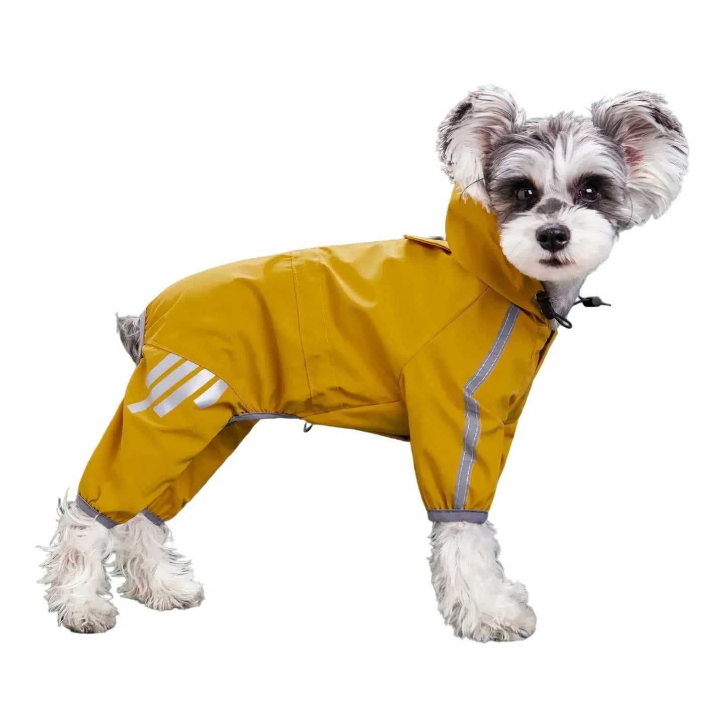 Reflective Waterproof Pet Raincoat NZ | Small & Medium Dog Jumpsuit for Chihuahua & Maltese – PawNest
