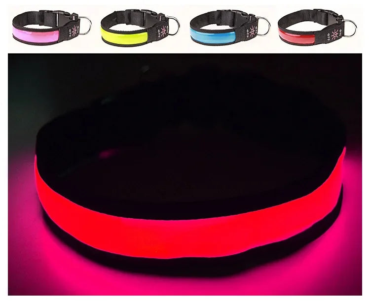 LED Glowing Dog Collar – USB Rechargeable Flashing Light