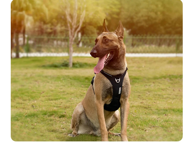 TrueLove No-Pull Reflective Dog Harness NZ | Adjustable & Comfortable Fit – PawNest