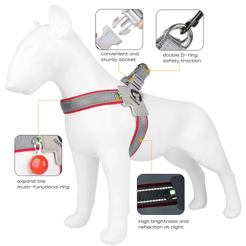 Adjustable Reflective Dog Harness NZ | Mesh Vest for Small & Large Dogs & Cats – PawNest