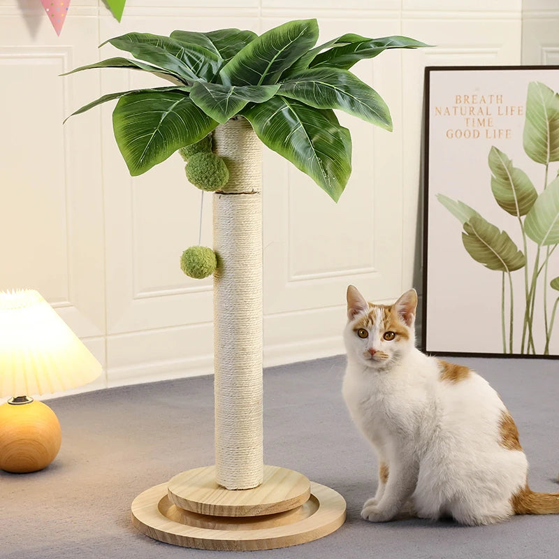 Cat Scratching Post NZ | Natural Sisal Rope Post with Hanging Balls & Wooden Track Toy – PawNest