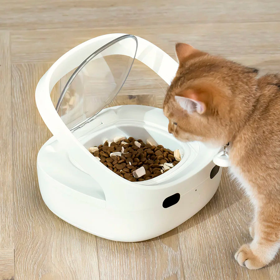 Smart Pet Feeder with Chip Recognition NZ | Anti-Snatch Food Dispenser for Cats & Dogs – PawNest
