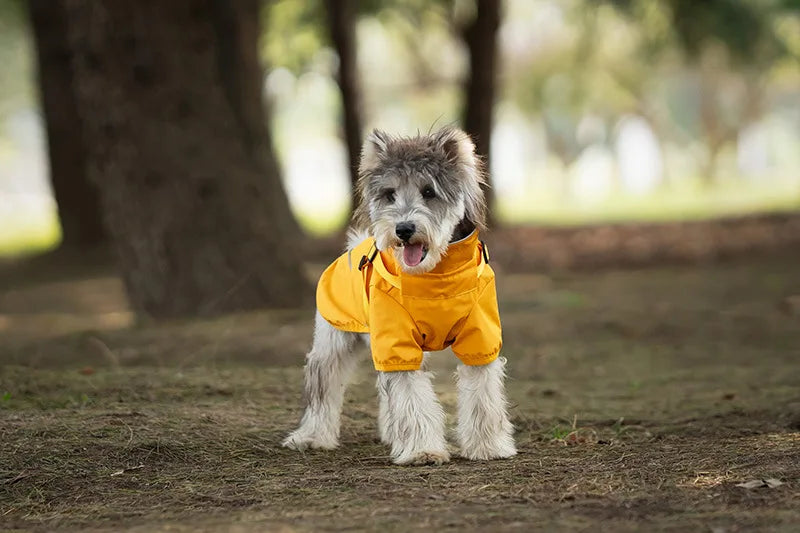 Reflective Waterproof Dog Raincoat NZ | Outdoor Spring Hoodie for Small & Medium Dogs – Rain Protection & Safety
