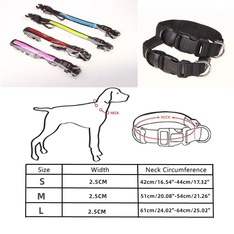 LED Glowing Dog Collar – USB Rechargeable Flashing Light
