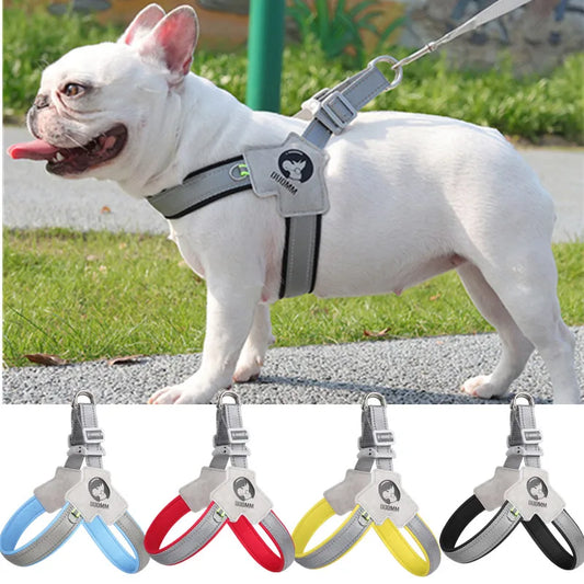 Adjustable Reflective Dog Harness NZ | Mesh Vest for Small & Large Dogs & Cats – PawNest