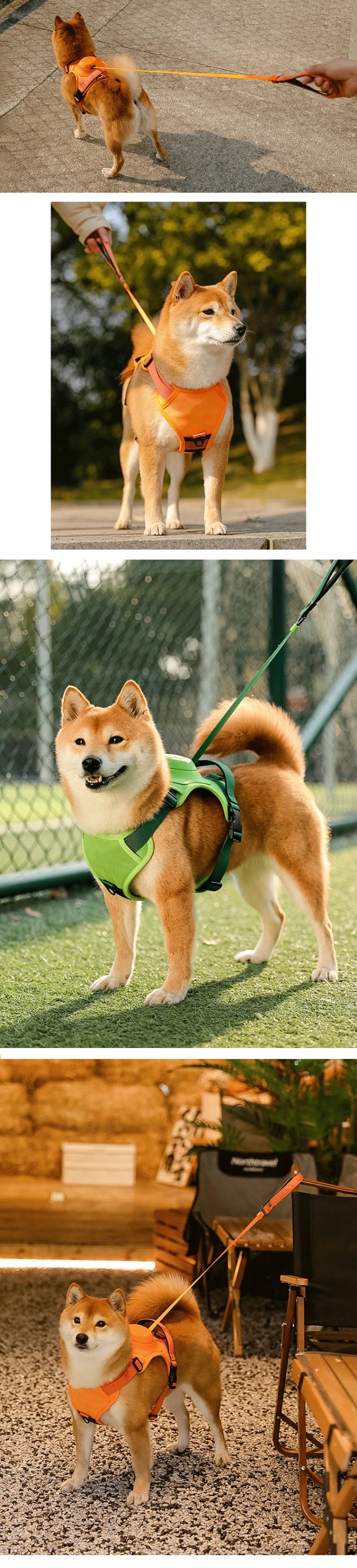 Breathable Explosion-Proof Dog Harness NZ | Adjustable Vest for Medium & Large Dogs Outdoor Training – PawNest