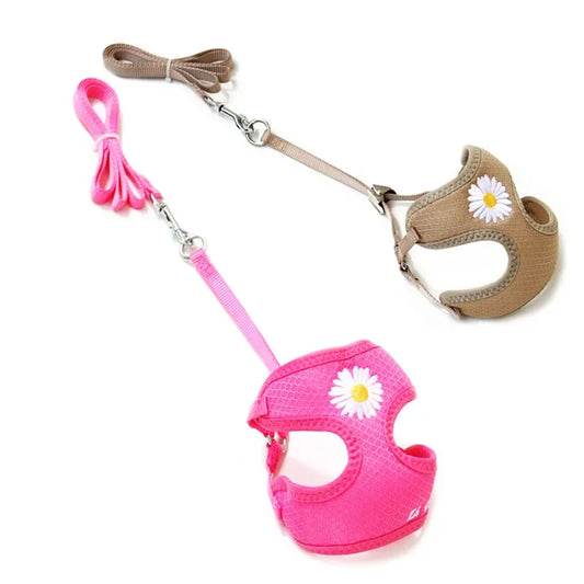Daisy Embroidered Harness & Leash Set NZ | Small & Medium Dogs, Kittens, Puppies – PawNest