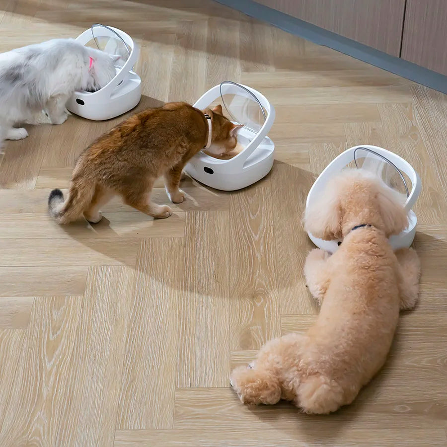 Smart Pet Feeder with Chip Recognition NZ | Anti-Snatch Food Dispenser for Cats & Dogs – PawNest