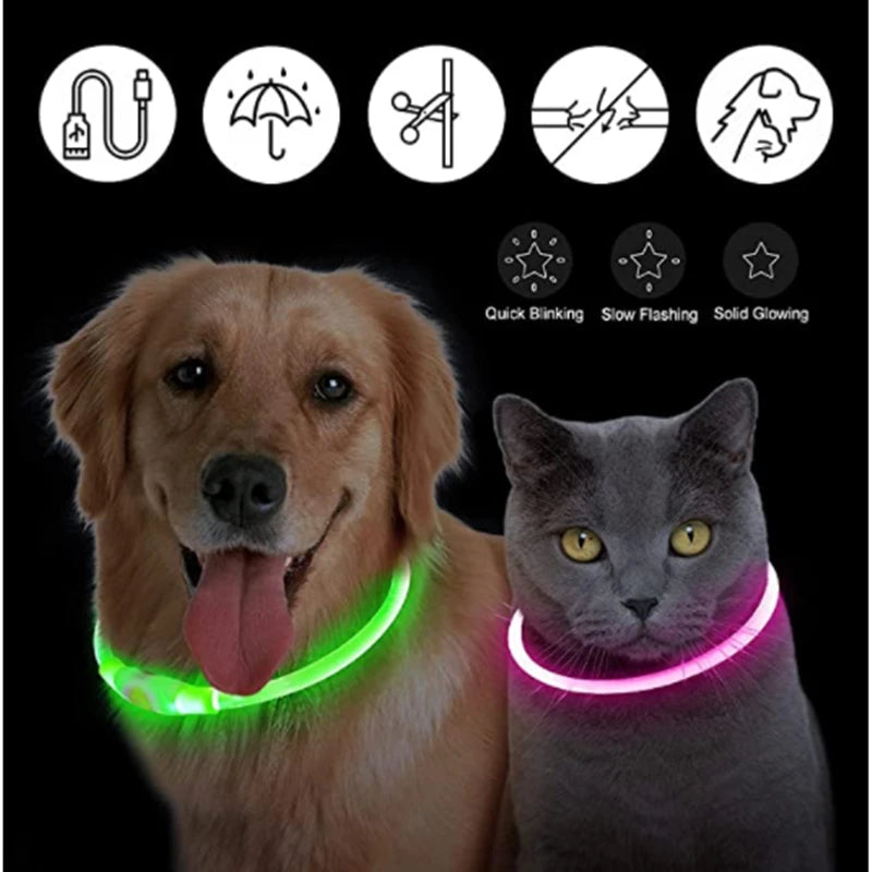 Luminous Dog Collar Light – USB Rechargeable LED Safety Collar