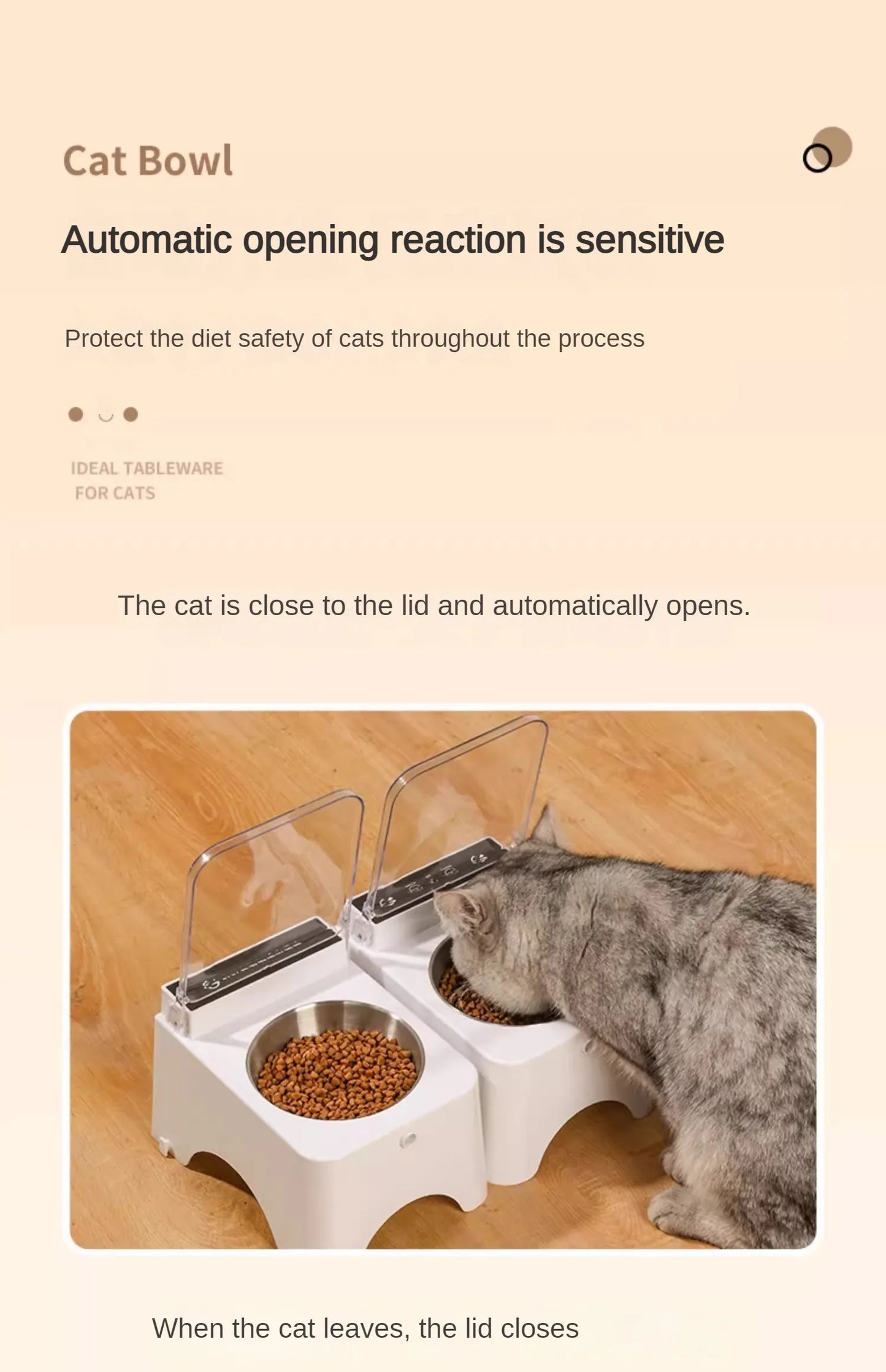Smart Cat Bowl Feeder NZ | Infrared Sensor Auto-Open Pet Food Dispenser – PawNest