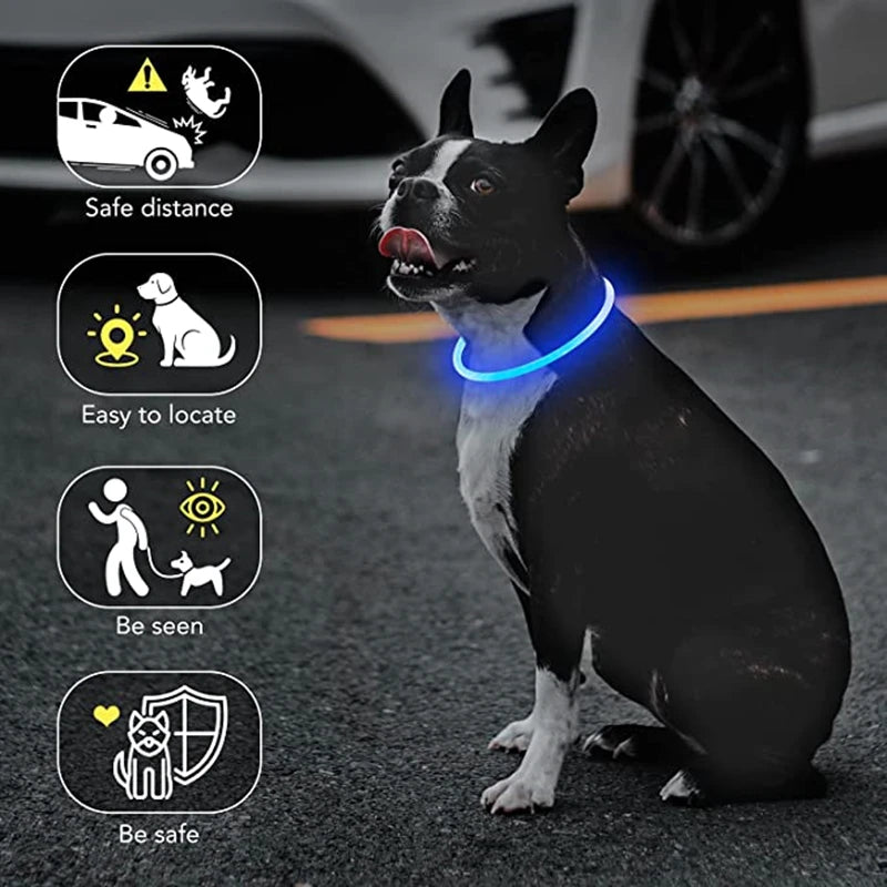 Luminous Dog Collar Light – USB Rechargeable LED Safety Collar