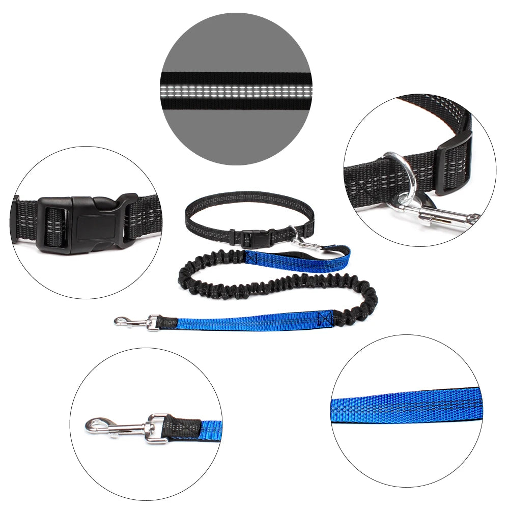 Hands-Free Dog Leash NZ | Adjustable Waist Belt & Chest Strap for Running, Walking & Jogging with Pets