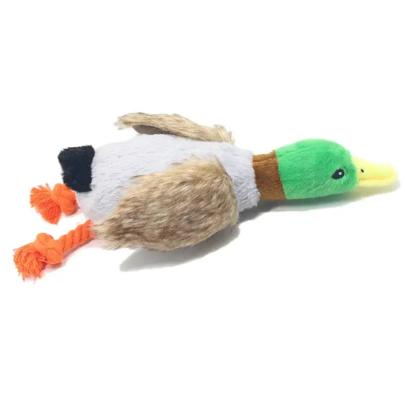 Mini Plush Squeaky Dog Toy NZ | Durable Chew Toy for Small & Medium Dogs and Cats – PawNest