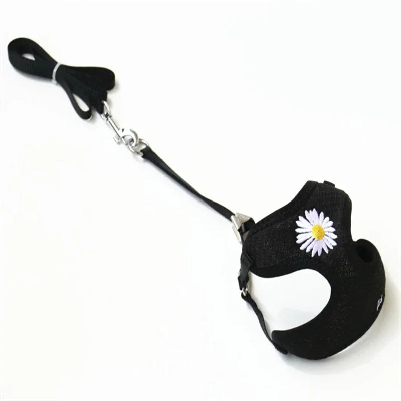 Daisy Embroidered Harness & Leash Set NZ | Small & Medium Dogs, Kittens, Puppies – PawNest