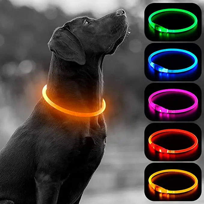 Luminous Dog Collar Light – USB Rechargeable LED Safety Collar