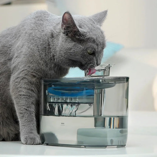 Automatic Cat & Dog Water Fountain NZ | USB Electric Pump with Recirculating Filters – PawNest