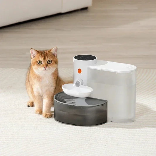 Portable Pet Water Fountain NZ | Plug-Free Automatic Water Dispenser for Cats & Dogs – PawNest