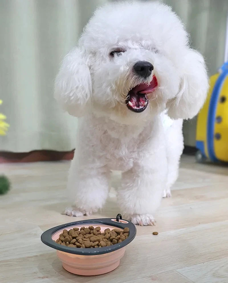 320ml Collapsible Silicone Dog Bowl – Travel Food & Water Dish