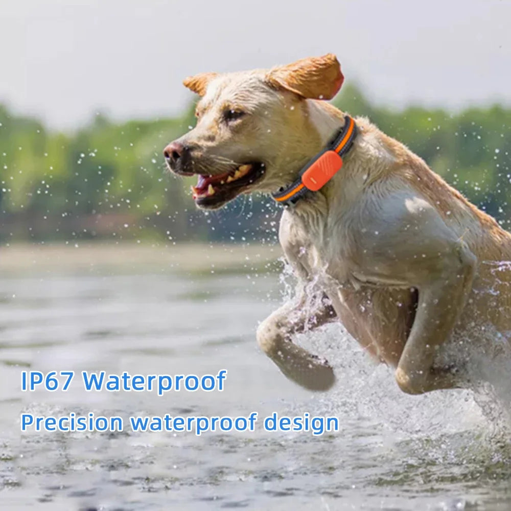 Smart 4G Mini GPS Pet Tracker NZ | Waterproof Real-Time Remote Control Tracker for Cats & Dogs – PawNest