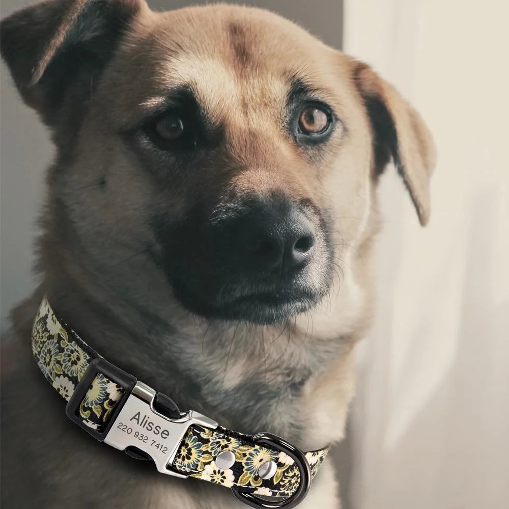 Custom Dog Collar – Free Engraved Nameplate for All Sizes