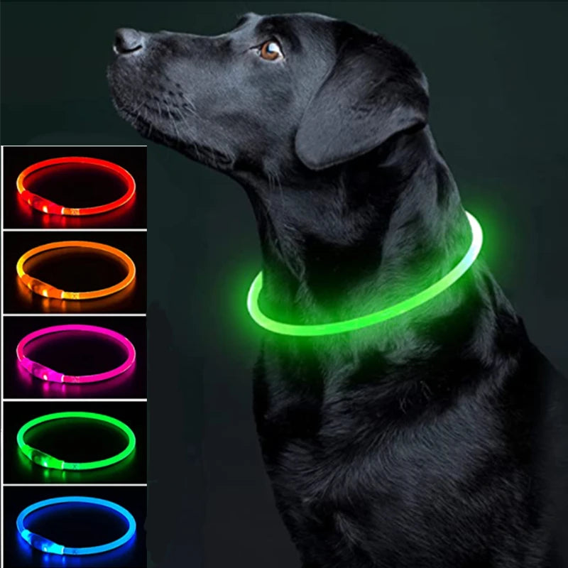 Luminous Dog Collar Light – USB Rechargeable LED Safety Collar