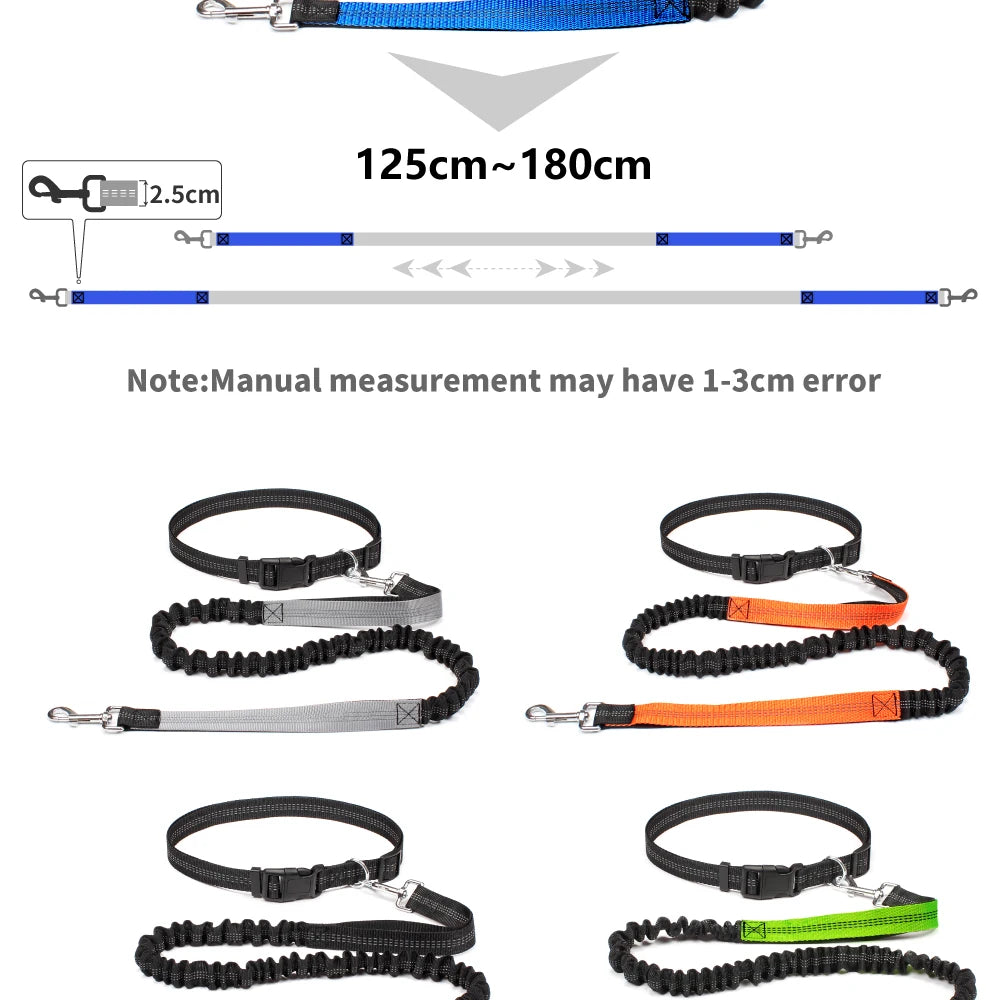 Hands-Free Dog Leash NZ | Adjustable Waist Belt & Chest Strap for Running, Walking & Jogging with Pets