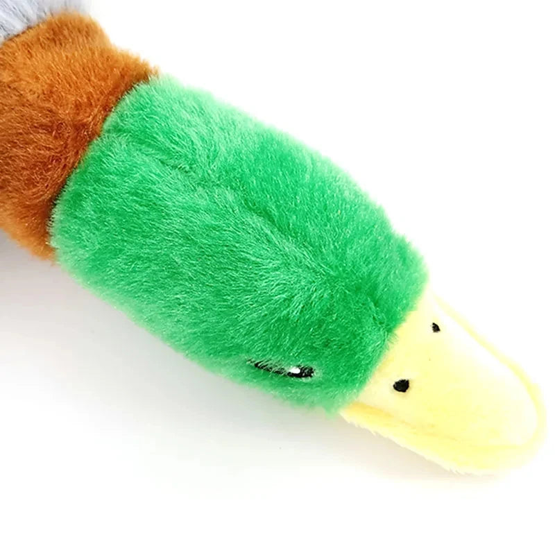Dog Chew Toy Plush Duck NZ | Squeaky Sound Toy for Teeth Cleaning & Interactive Play – PawNest