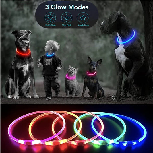 Luminous Dog Collar Light – USB Rechargeable LED Safety Collar