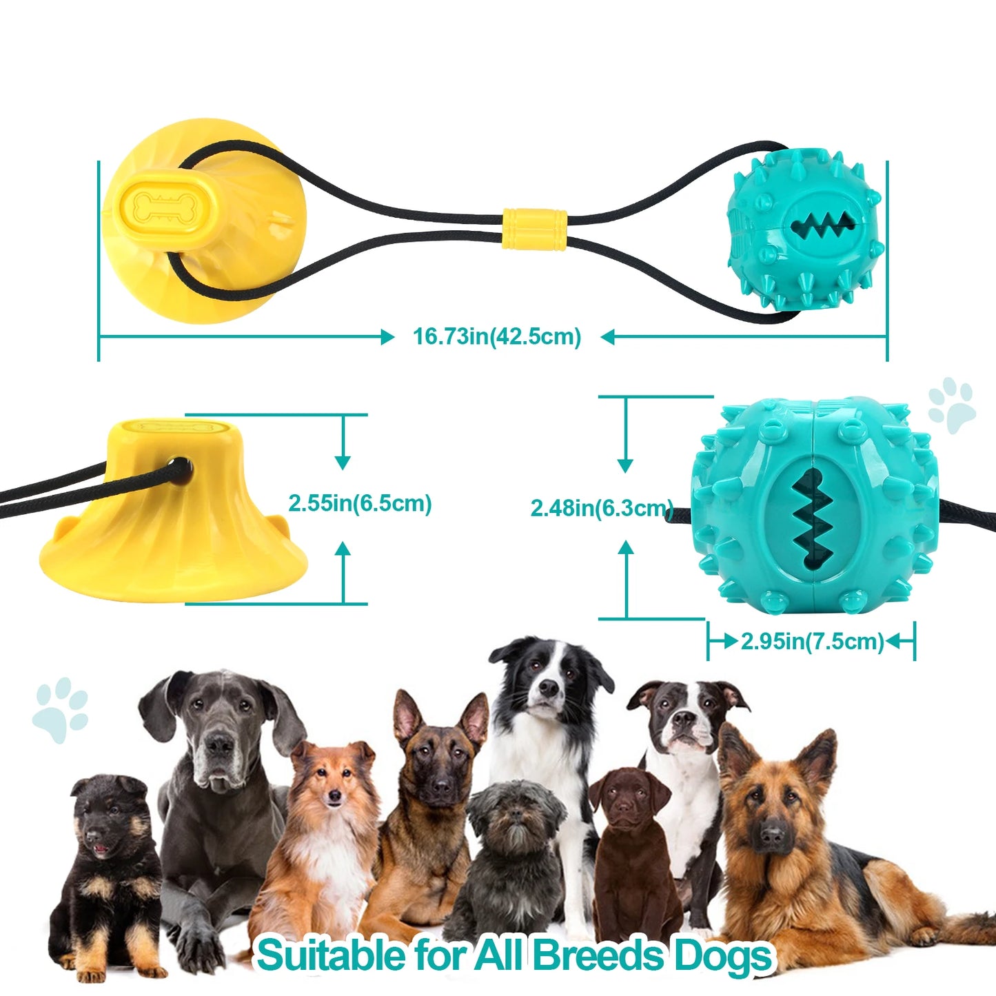 Dog Chew Toy Balls NZ | Rubber Teeth Cleaning & Treat Dispensing Balls for Dogs & Cats – PawNest