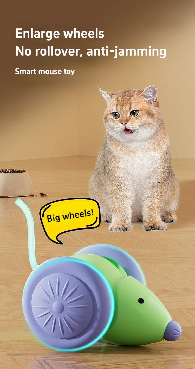 Interactive Cat Toy NZ | Electric Mouse Teaser with Obstacle Avoidance – PawNest