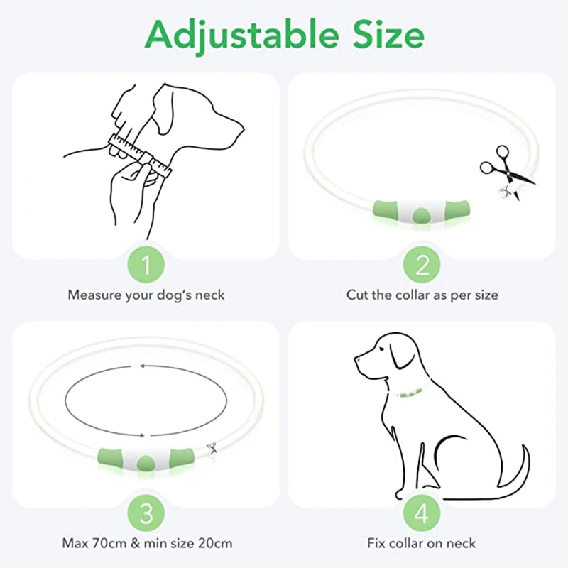 Luminous Dog Collar Light – USB Rechargeable LED Safety Collar