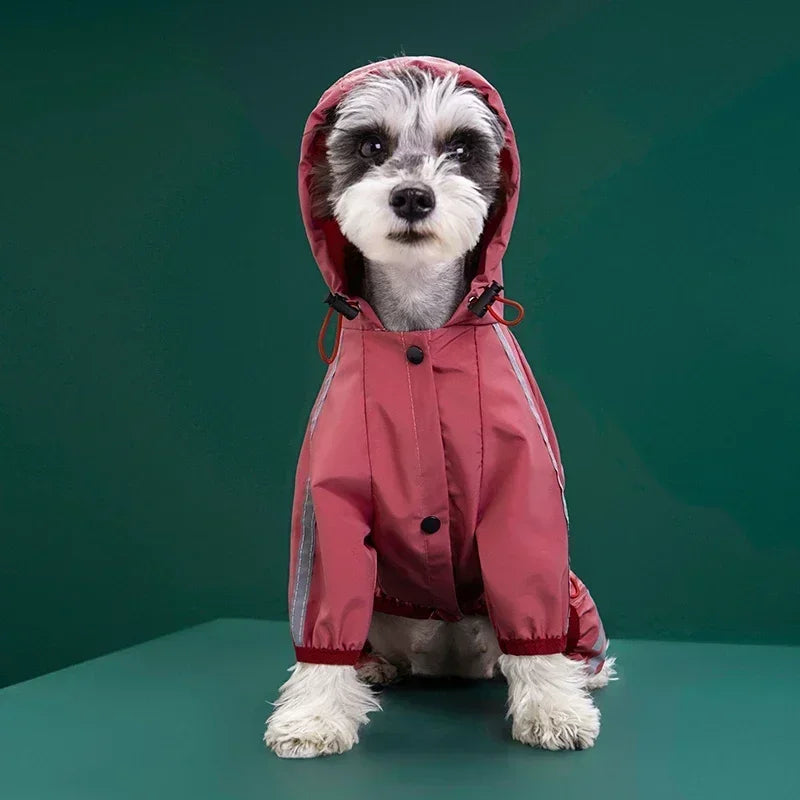Reflective Waterproof Pet Raincoat NZ | Small & Medium Dog Jumpsuit for Chihuahua & Maltese – PawNest