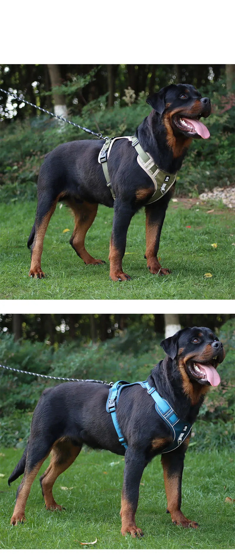 Reflective No-Pull Dog Harness NZ | Adjustable Saddle Chest Strap for Small to Large Dogs – PawNest