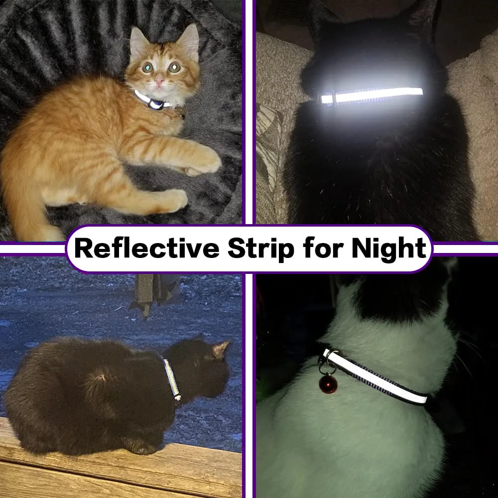 Airtag Pet Tracker Collar NZ | Reflective Breakaway GPS Collar for Cats & Dogs – PawNest