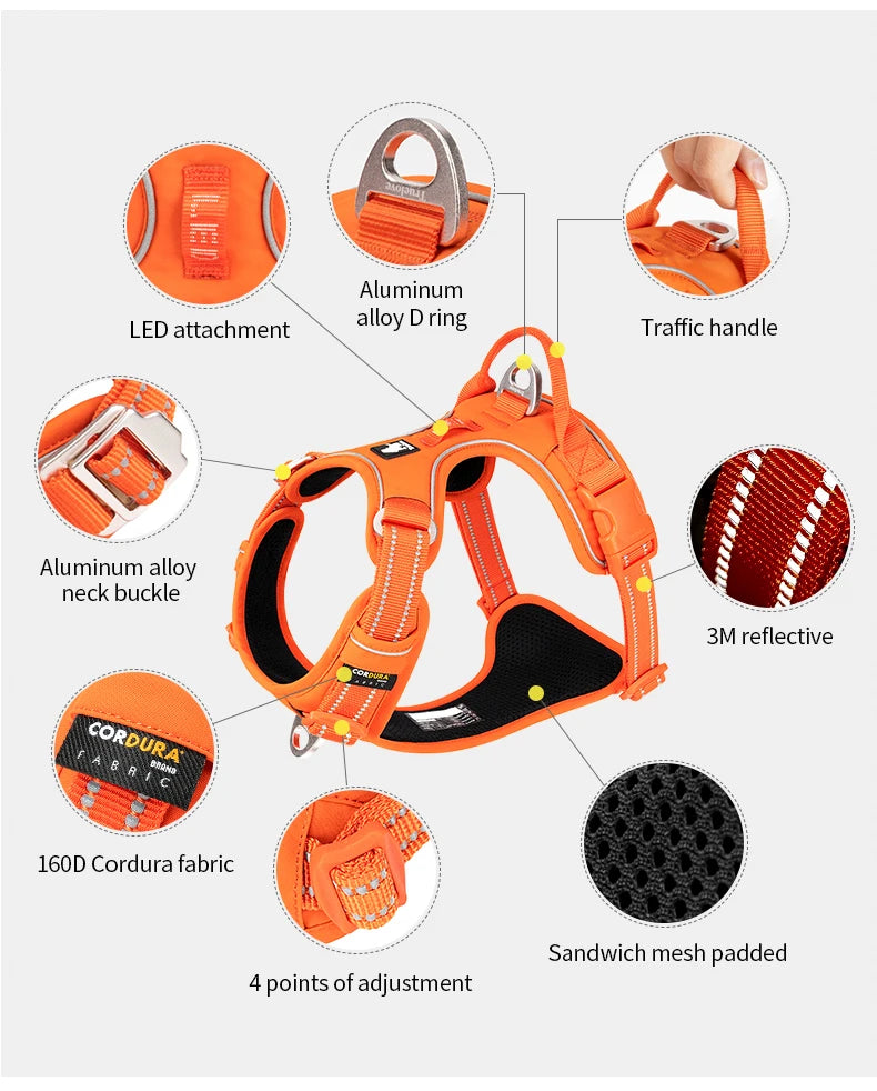 TrueLove No-Pull Reflective Dog Harness NZ | Adjustable & Comfortable Fit – PawNest
