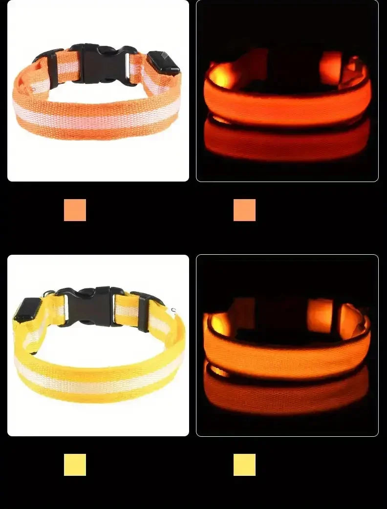 Light Up LED Dog Collar – Safety Flashing Glow Battery Collar