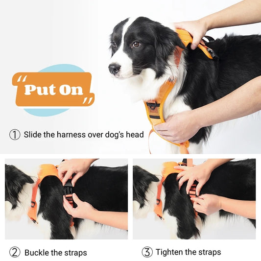 Breathable Explosion-Proof Dog Harness NZ | Adjustable Vest for Medium & Large Dogs Outdoor Training – PawNest