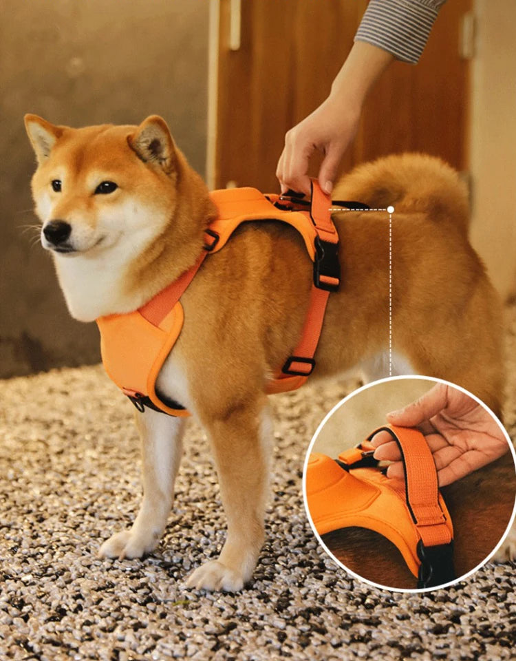 Breathable Explosion-Proof Dog Harness NZ | Adjustable Vest for Medium & Large Dogs Outdoor Training – PawNest