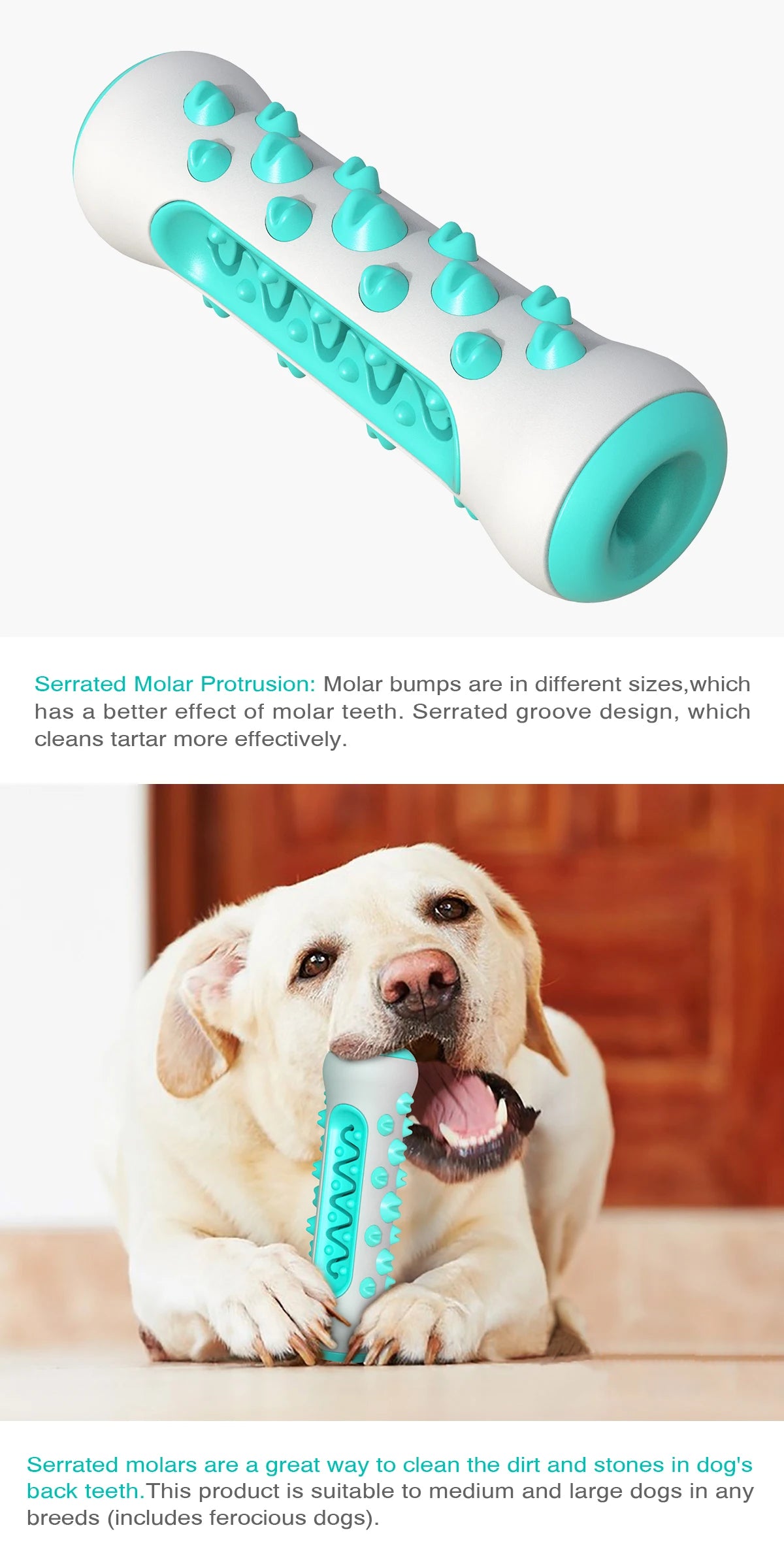 Dog Chew Toy & Treat Dispenser NZ | Interactive Teeth Cleaning Toy for Small & Large Dogs – PawNest